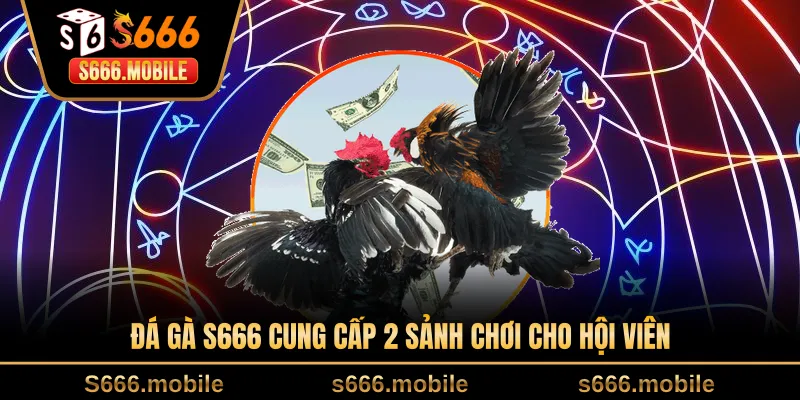 Đá gà S666 cung cấp 2 sảnh chơi cho hội viên