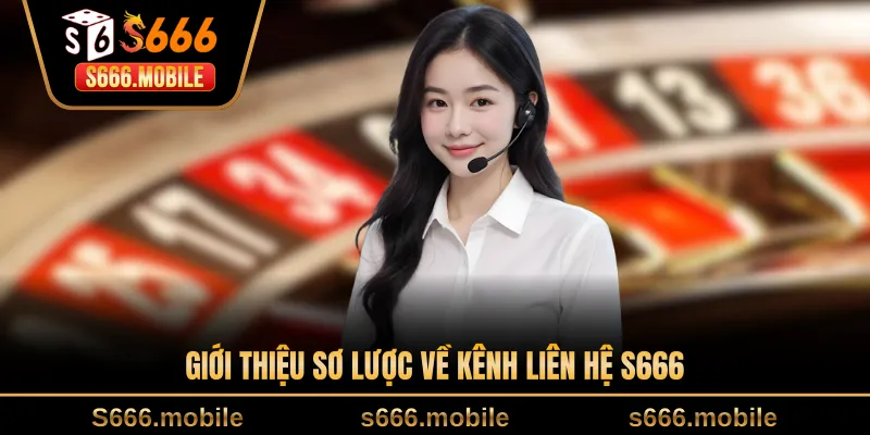 Giới thiệu sơ lược về kênh liên hệ S666