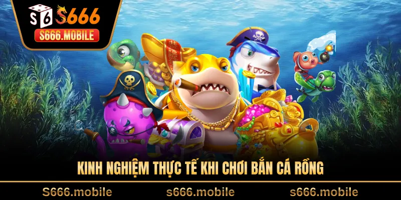Kinh nghiệm thực tế khi chơi bắn cá rồng