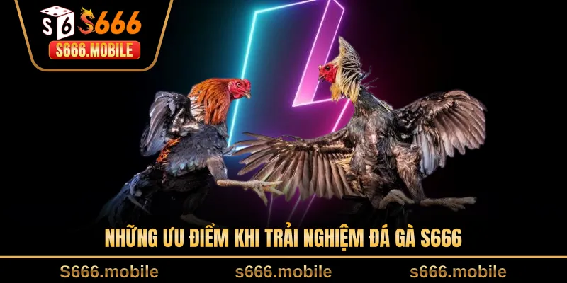 Những ưu điểm khi trải nghiệm đá gà S666
