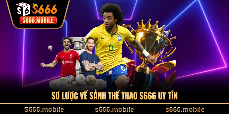 Sơ lược về sảnh thể thao S666 uy tín